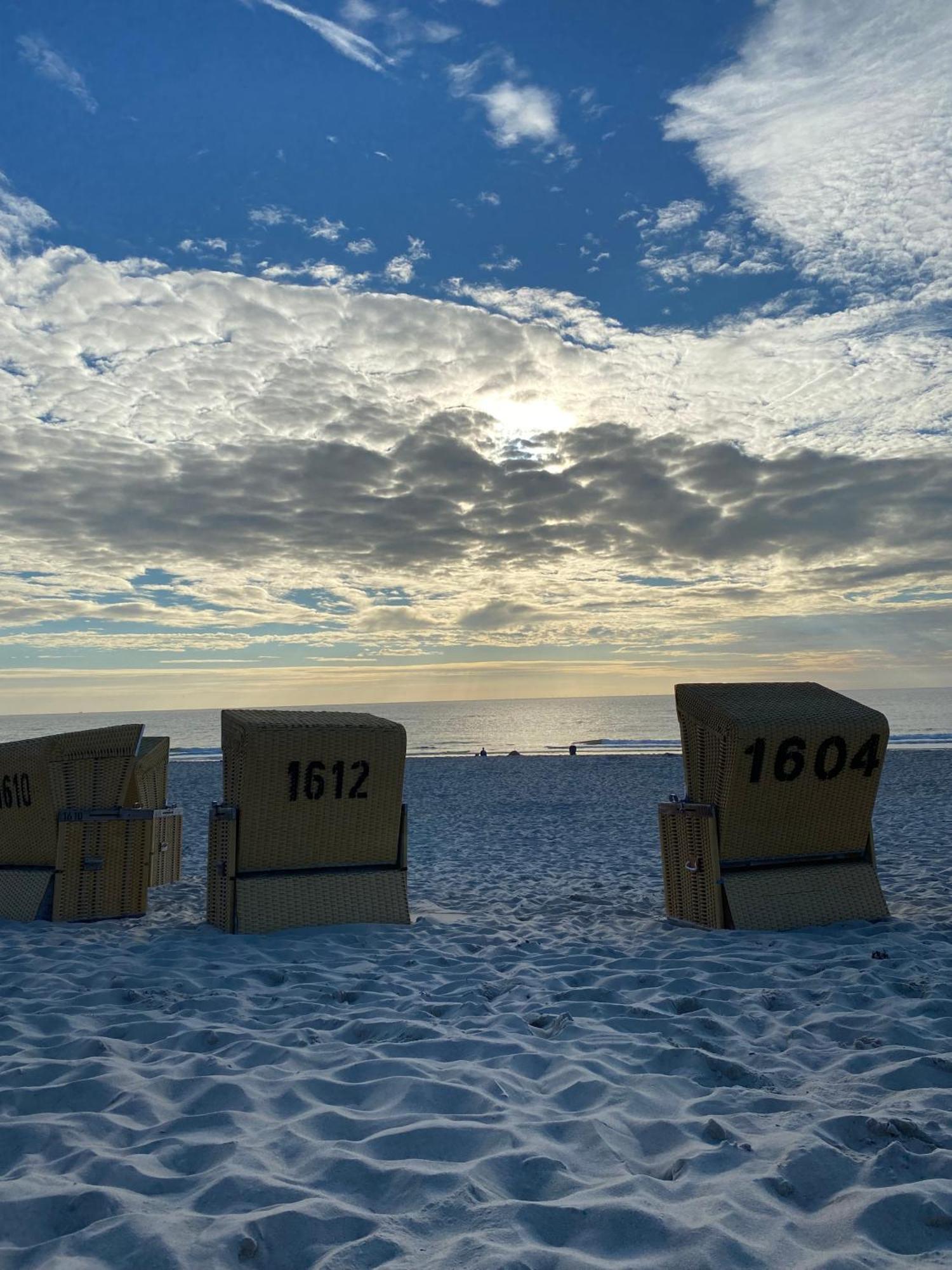 Strandflieder Sylt Archsum