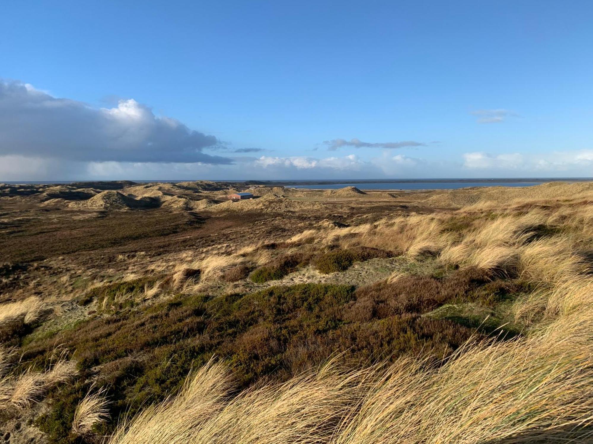 Apartment Strandflieder Sylt Archsum